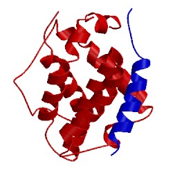 Image of CATH 2pon