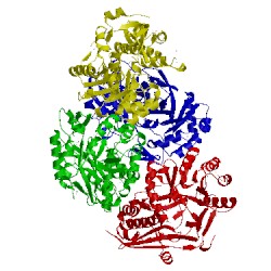 Image of CATH 2ppg