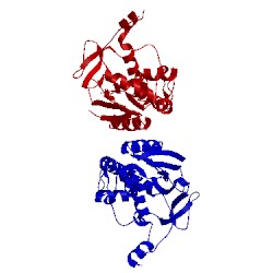 Image of CATH 2pqg