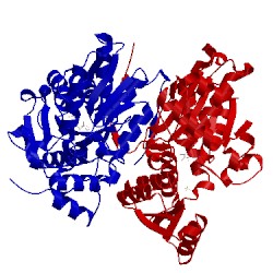 Image of CATH 2pqm