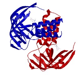 Image of CATH 2ptf