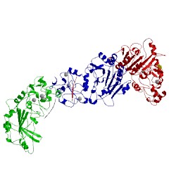 Image of CATH 2pvc