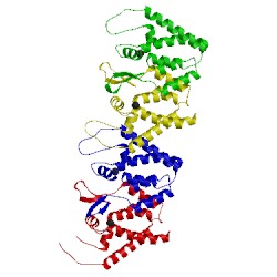 Image of CATH 2pwo