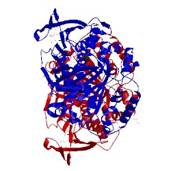 Image of CATH 2pyx