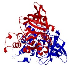 Image of CATH 2q51