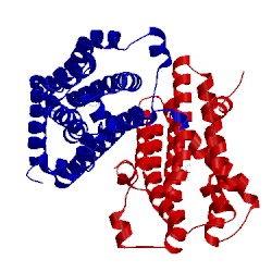 Image of CATH 2qcx