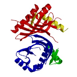 Image of CATH 2qiy