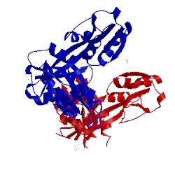 Image of CATH 2qmw