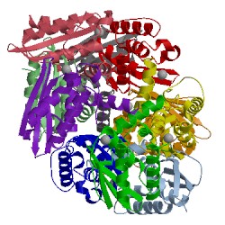 Image of CATH 2qq4