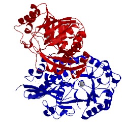 Image of CATH 2qq6