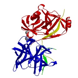 Image of CATH 2qv1