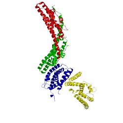 Image of CATH 2qva