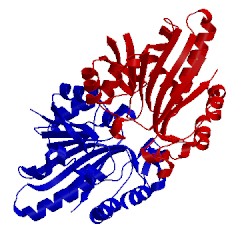 Image of CATH 2qy6