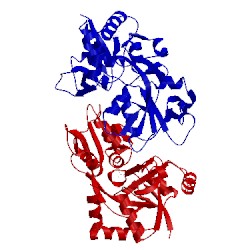 Image of CATH 2rcb