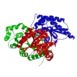 Image of CATH 2rem