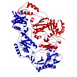 Image of CATH 2rf2