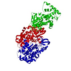 Image of CATH 2rfb