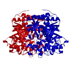 Image of CATH 2rgm