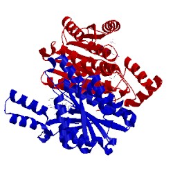 Image of CATH 2rhc