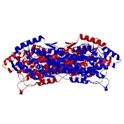 Image of CATH 2rjr