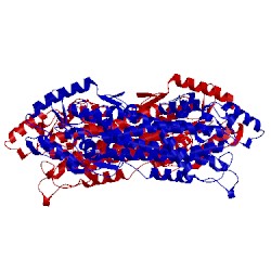 Image of CATH 2rjs