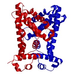 Image of CATH 2uxu