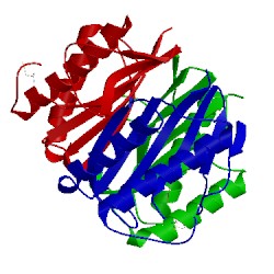 Image of CATH 2uyp