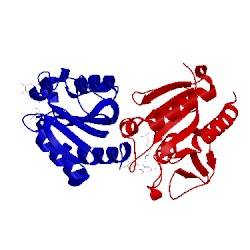 Image of CATH 2v5u