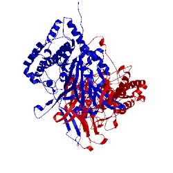 Image of CATH 2vf1