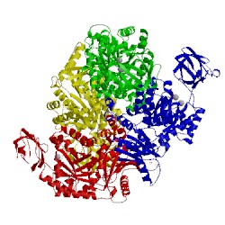 Image of CATH 2vgf