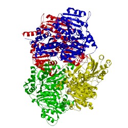 Image of CATH 2vk4