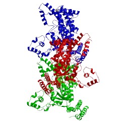 Image of CATH 2vkd