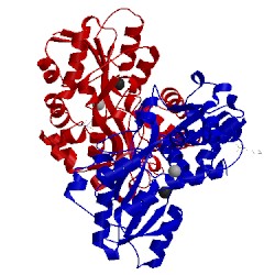 Image of CATH 2vp1