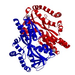 Image of CATH 2vpo