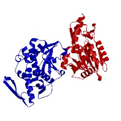 Image of CATH 2vs6