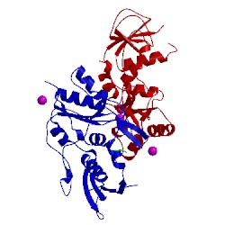 Image of CATH 2vxc