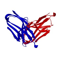 Image of CATH 2w0k