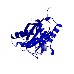 Image of CATH 2w13