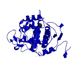 Image of CATH 2w23