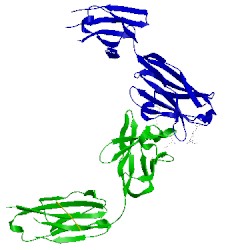 Image of CATH 2w65