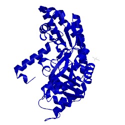 Image of CATH 2w7d