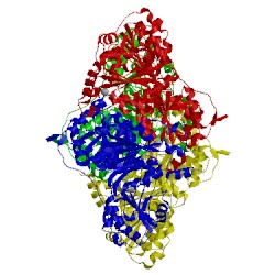 Image of CATH 2w93