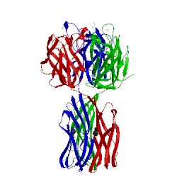 Image of CATH 2w95