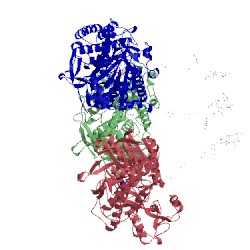 Image of CATH 2wdr