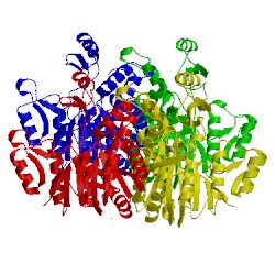 Image of CATH 2we4