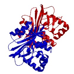 Image of CATH 2wgi