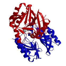 Image of CATH 2whg