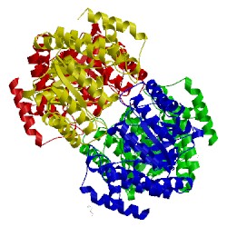 Image of CATH 2wkj