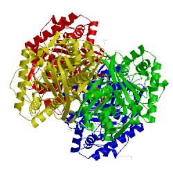 Image of CATH 2wl5