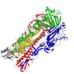 Image of CATH 2wrh